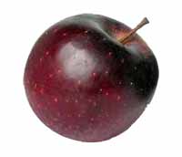 Pomi fructiferi - MERI red cif
